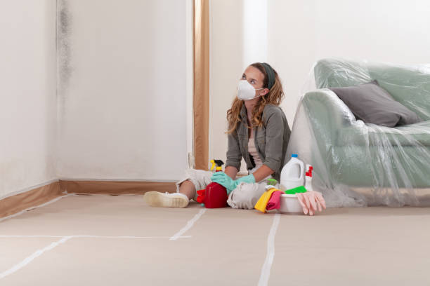 Reliable Commercial Mold Remediation contractor in Frisco, CO by WQB Mold Removal